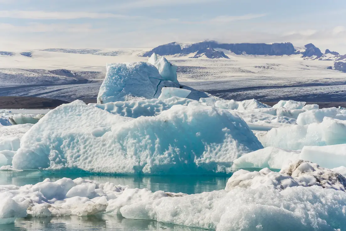 Antarctic Cruise
